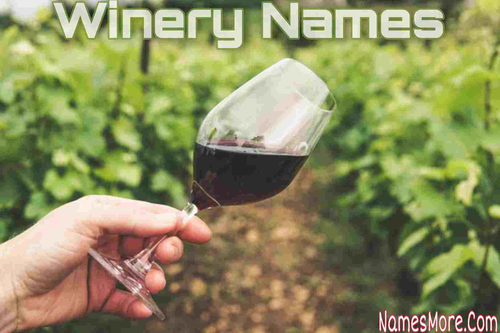 Featured Image for 600+ Winery Names [Catchy And Creative]