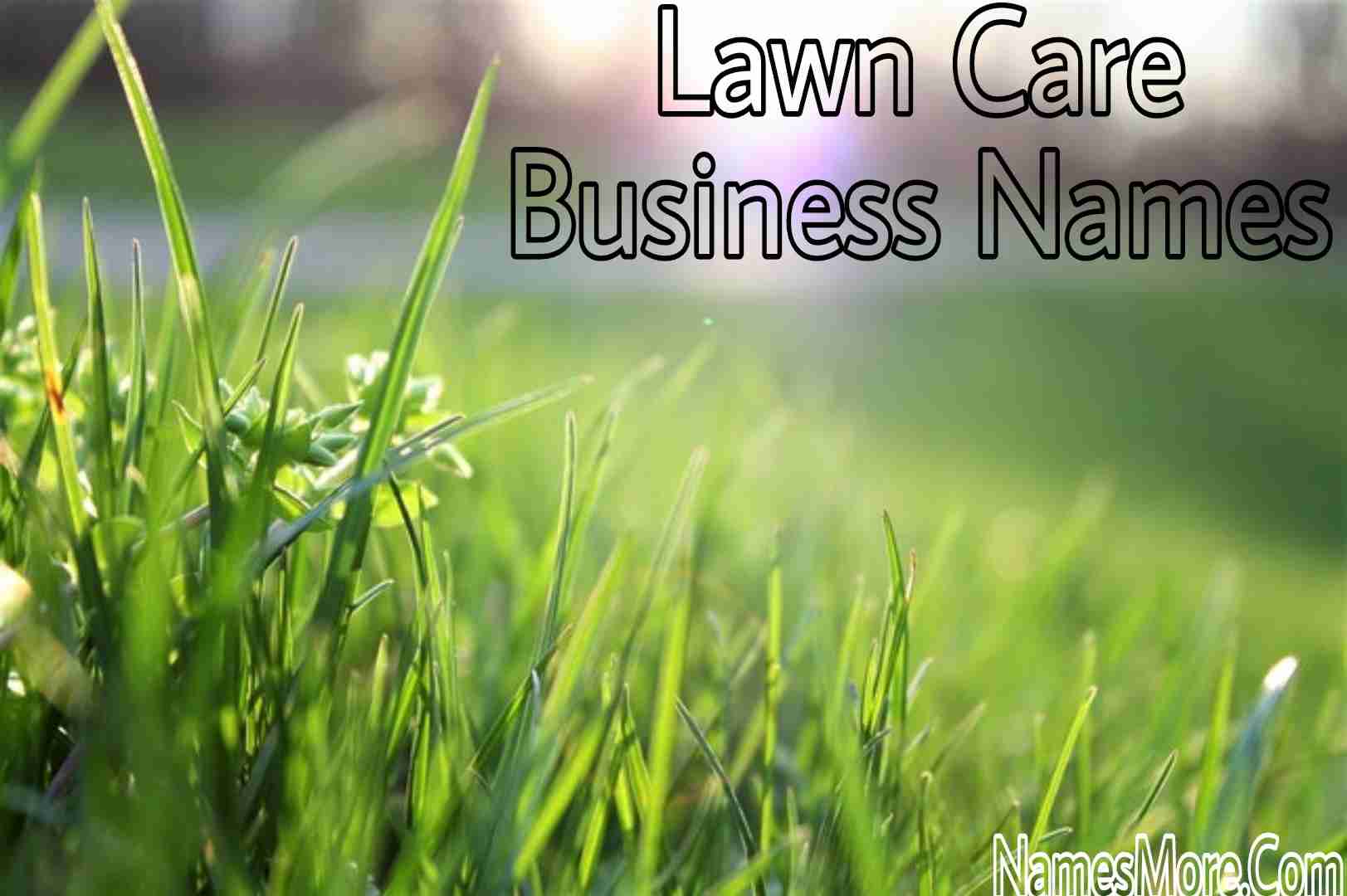 Featured Image for Lawn Care Business Names Idea [Pro Guide]