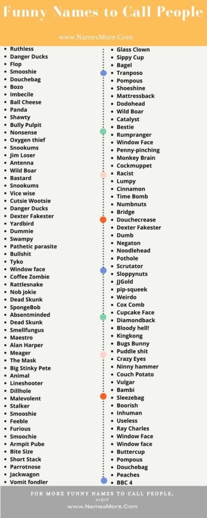 the-insults-you-can-and-cannot-use